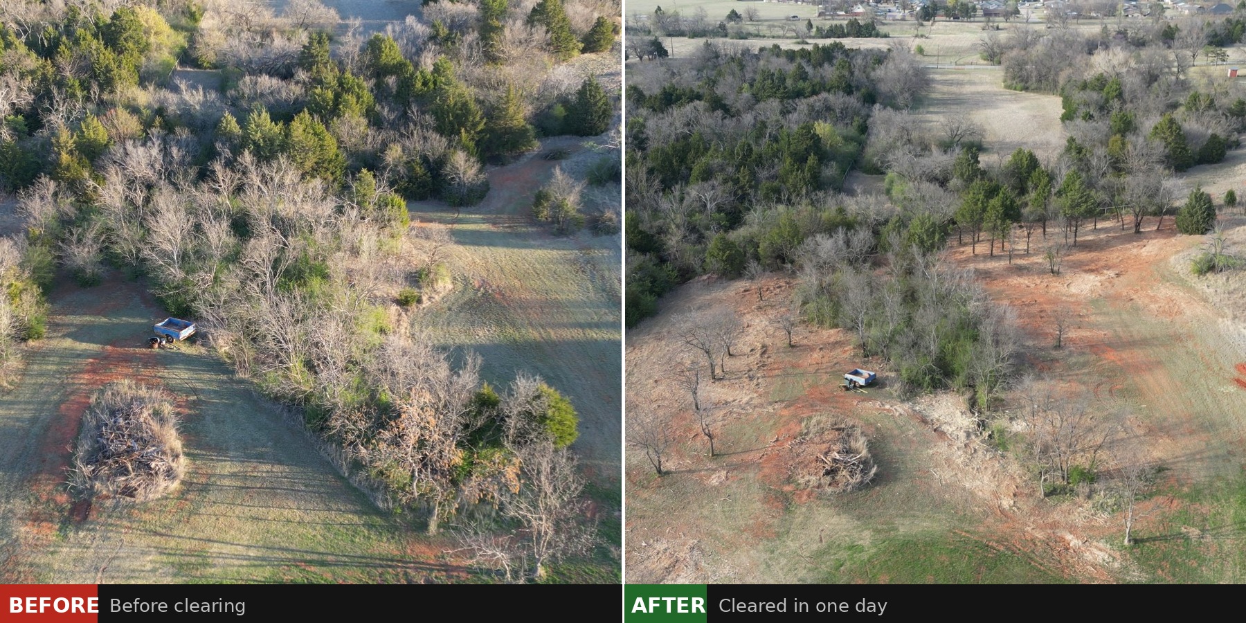 Before and after: Lot clearing with thick brush removed and land cleared in one day