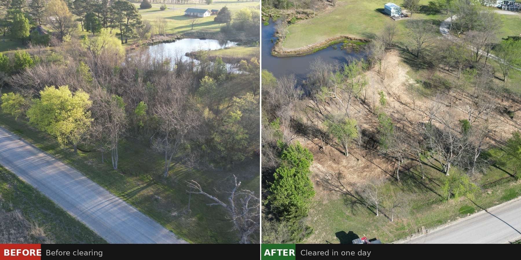 Before and after: Overgrown brush and trees cleared around pond near road